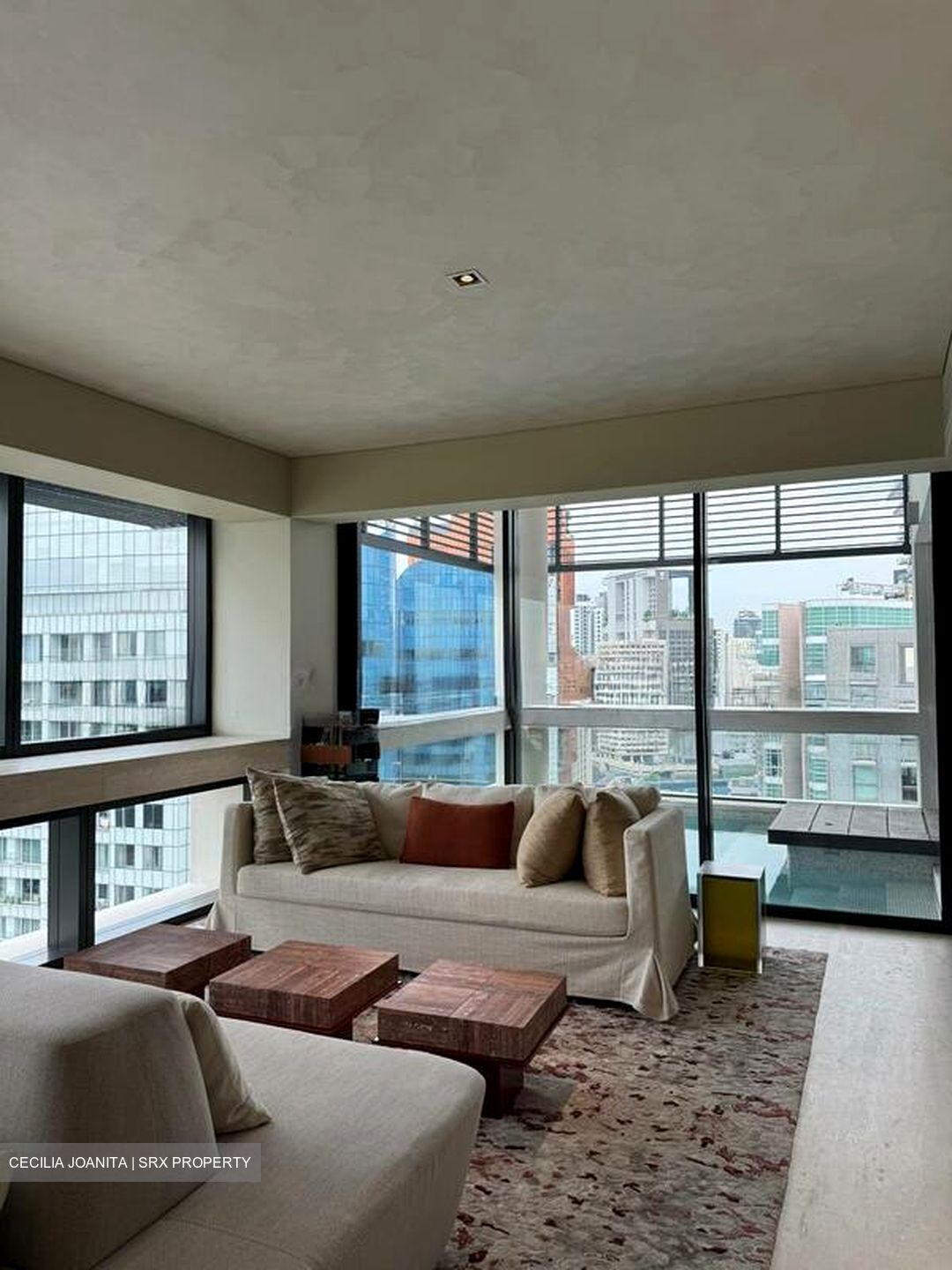 Hana (D10), Condominium #497346541